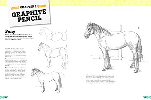 Art Studio: Horses & Ponies: More than 50 projects and techn