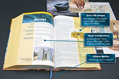 NIV, Kids' Visual Study Bible, Hardcover, Blue, Full Color I