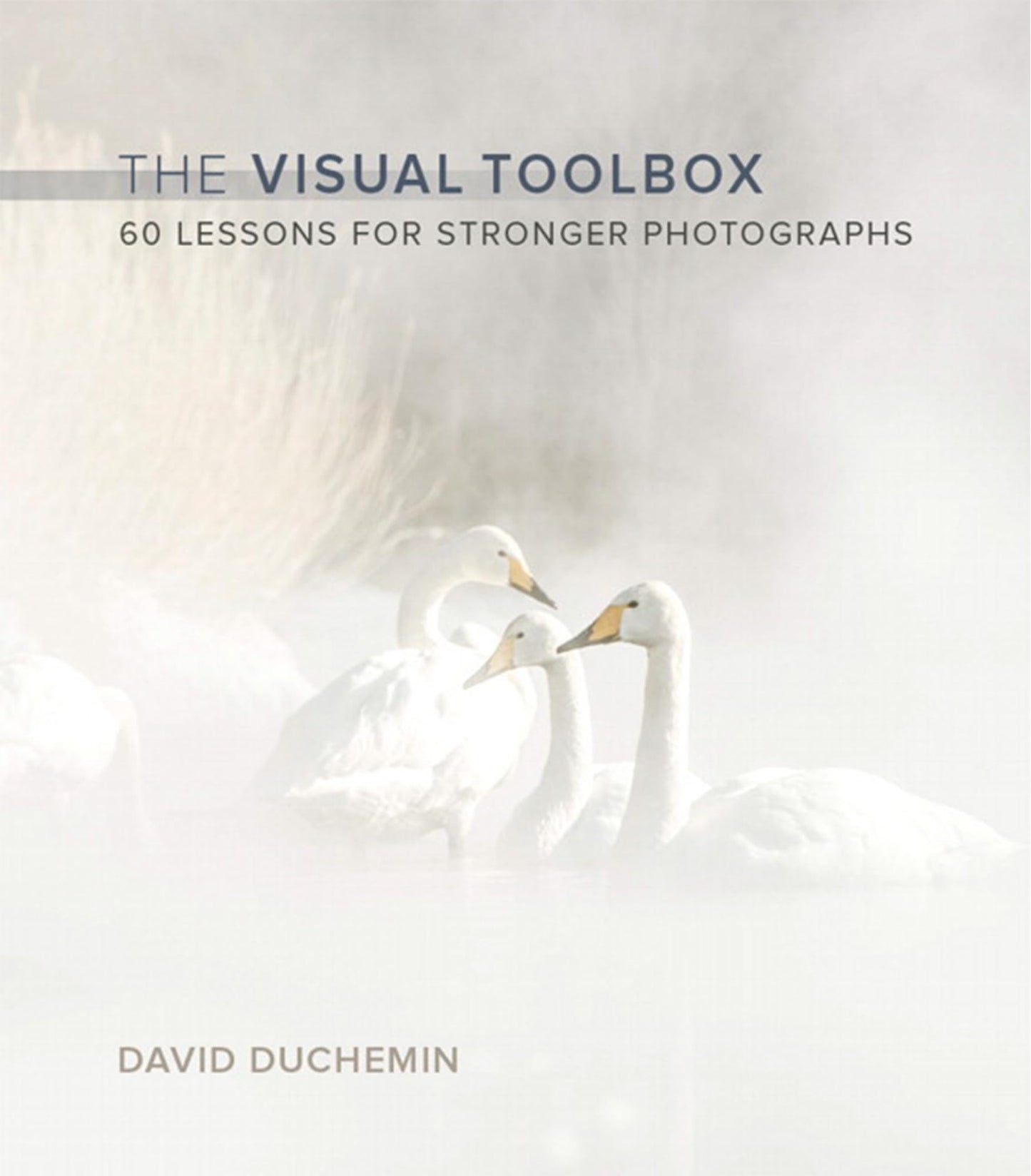 The Visual Toolbox: 60 Lessons for Stronger Photographs (Voi
