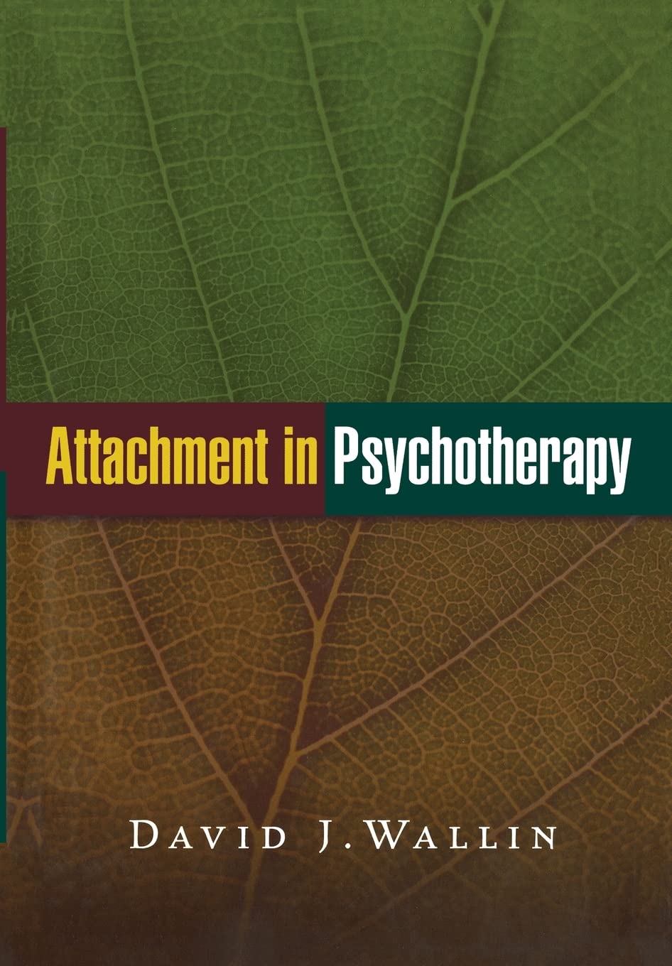 Attachment in Psychotherapy by David J. Wallin