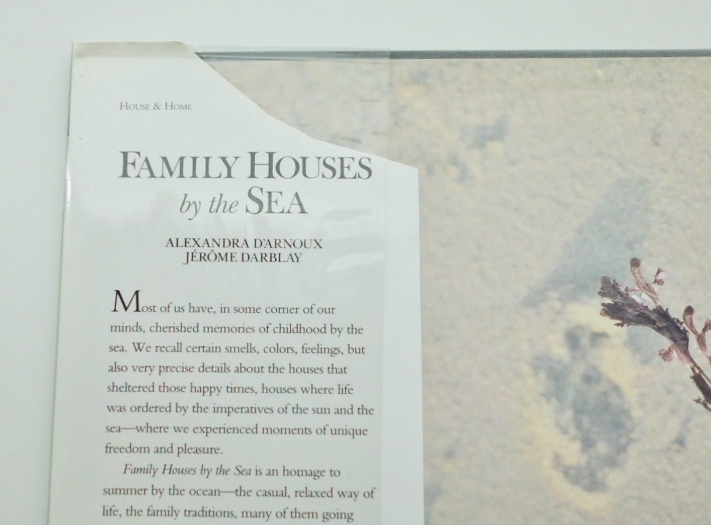 Family Houses by the Sea by D'Arnoux, Alexandra
