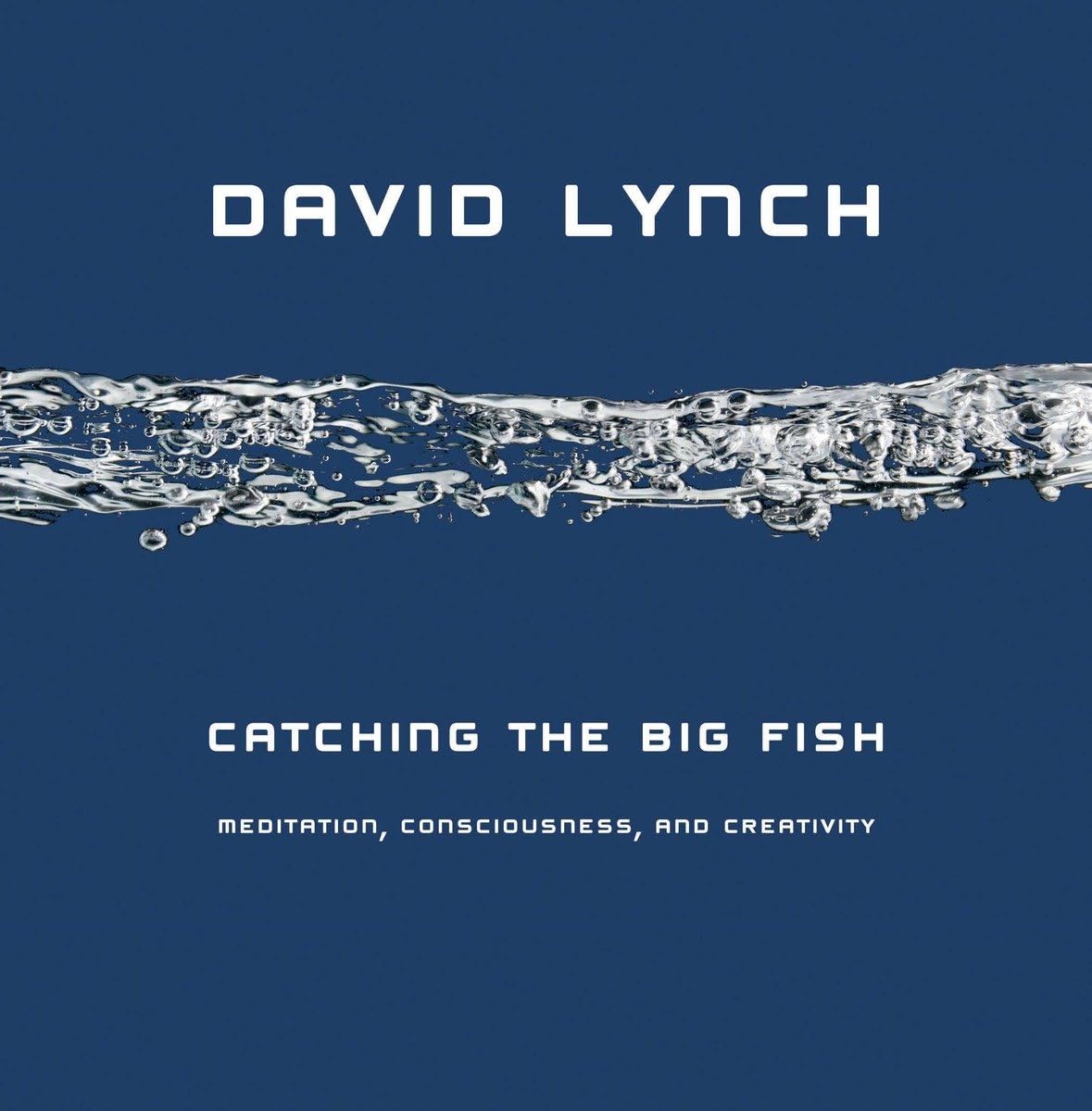 Catching the Big Fish: Meditation, Consciousness, and Creati