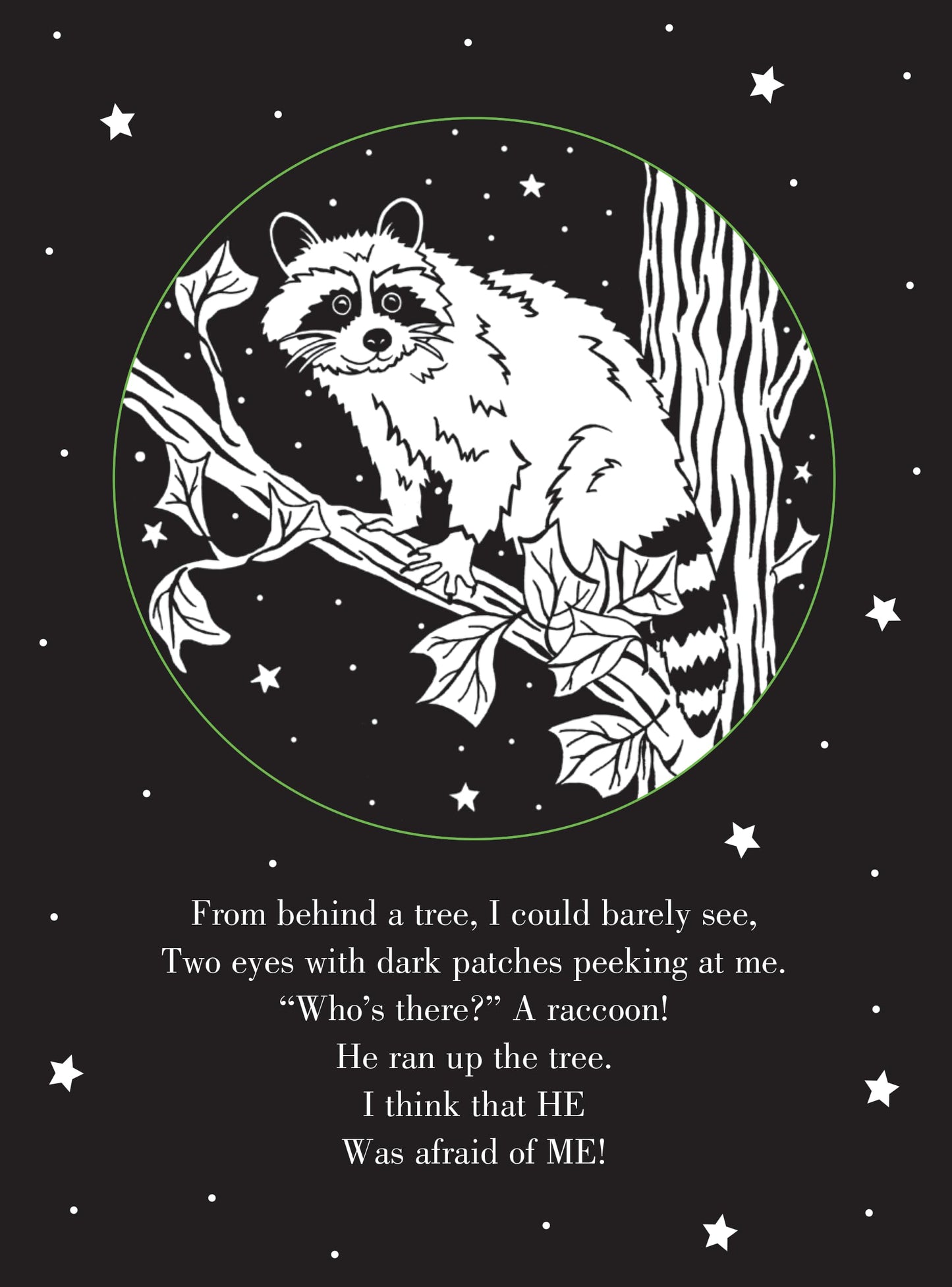 Whoo's There? Bedtime Shadow Book by Peter Pauper Press