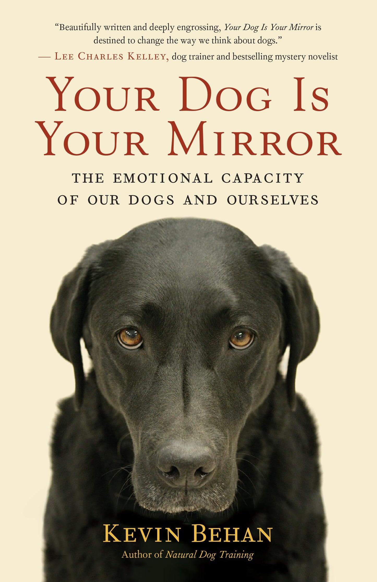Your Dog Is Your Mirror: The Emotional Capacity of Our Dogs