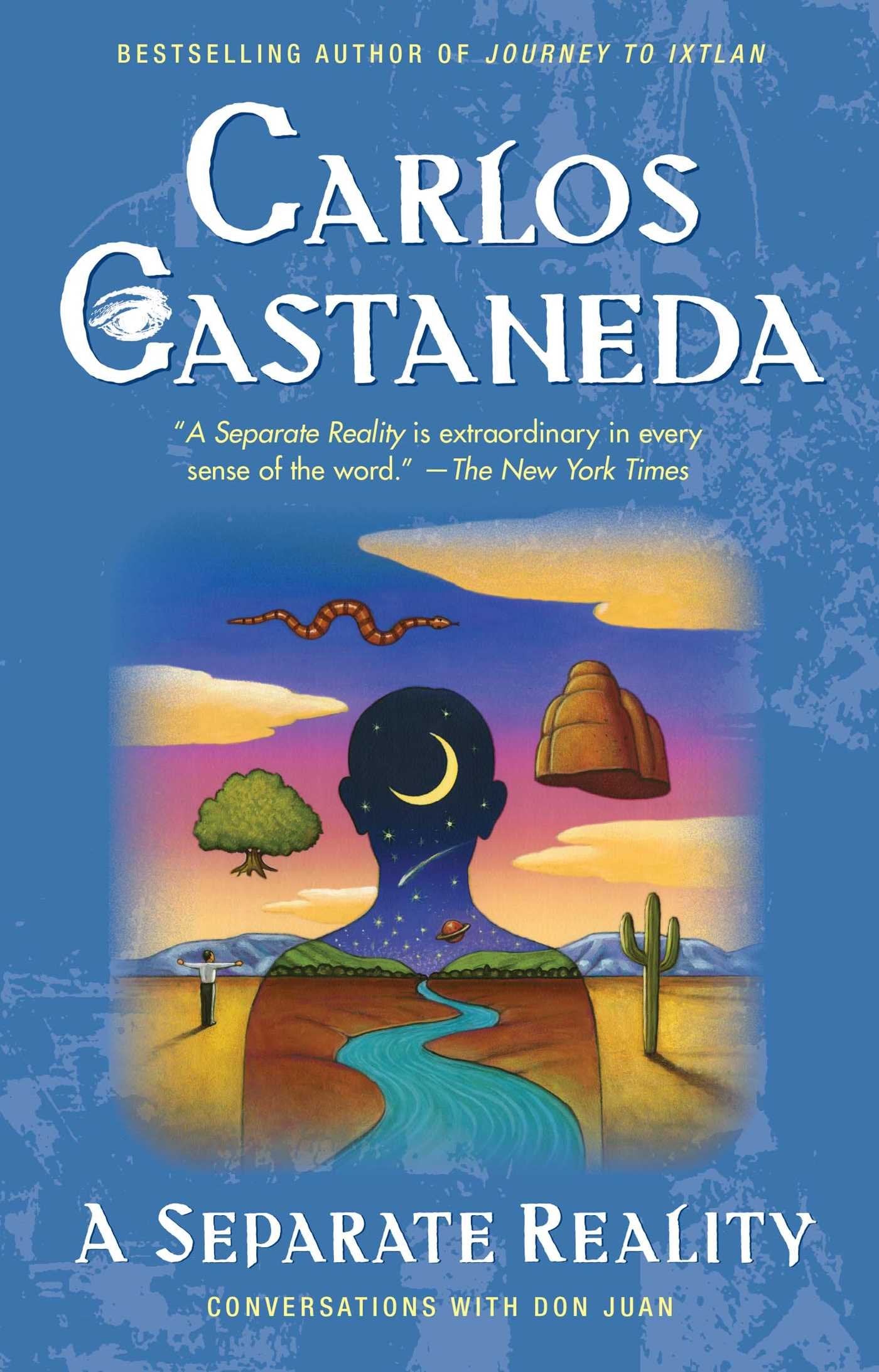 A Separate Reality (The Teachings of Don Juan) by Castaneda,
