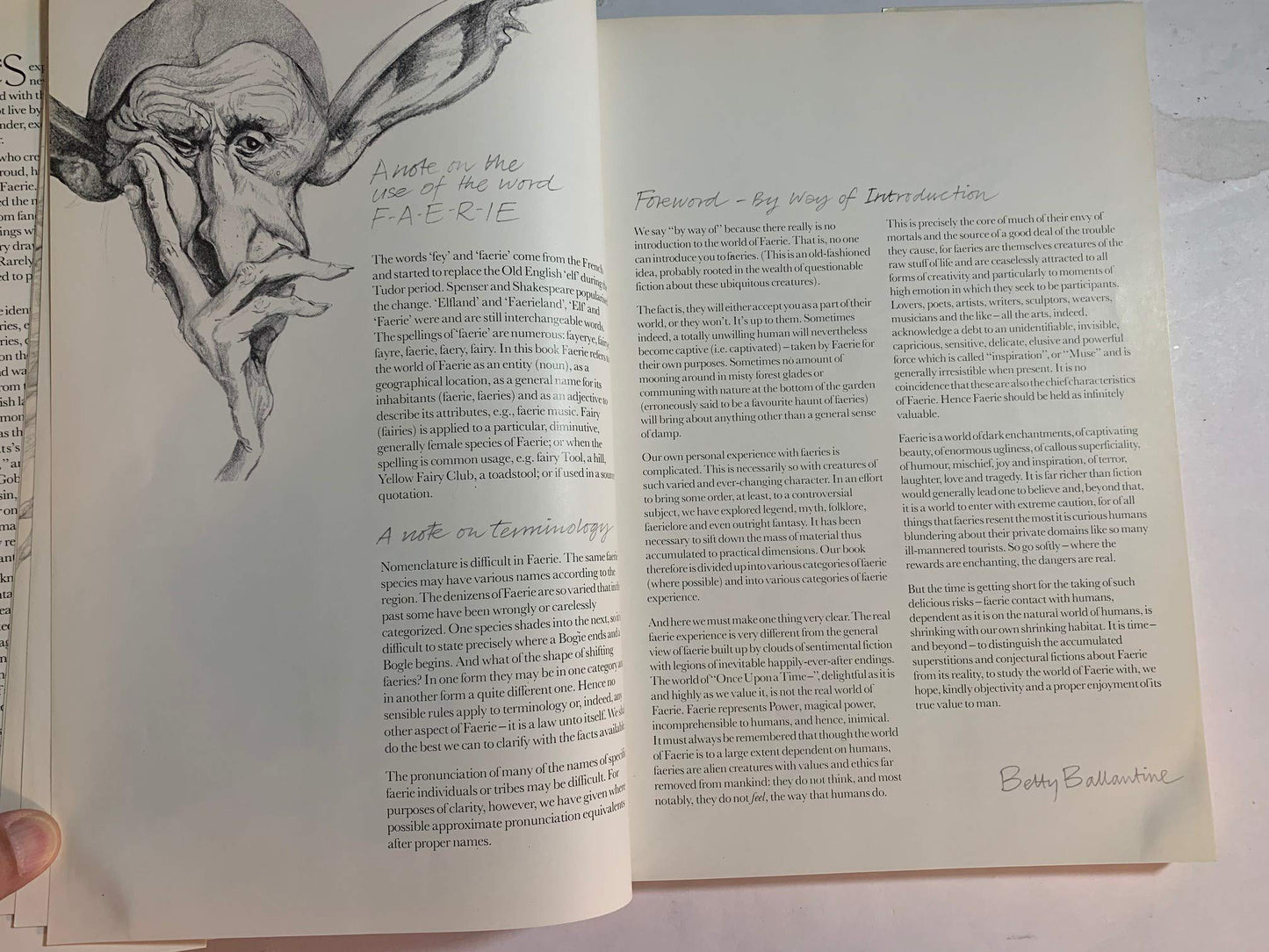 Faeries by Brian Froud