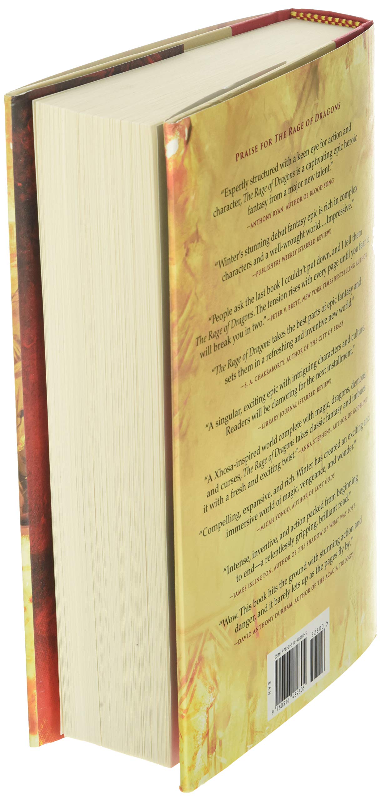 The Fires of Vengeance (The Burning, 2) by Winter, Evan