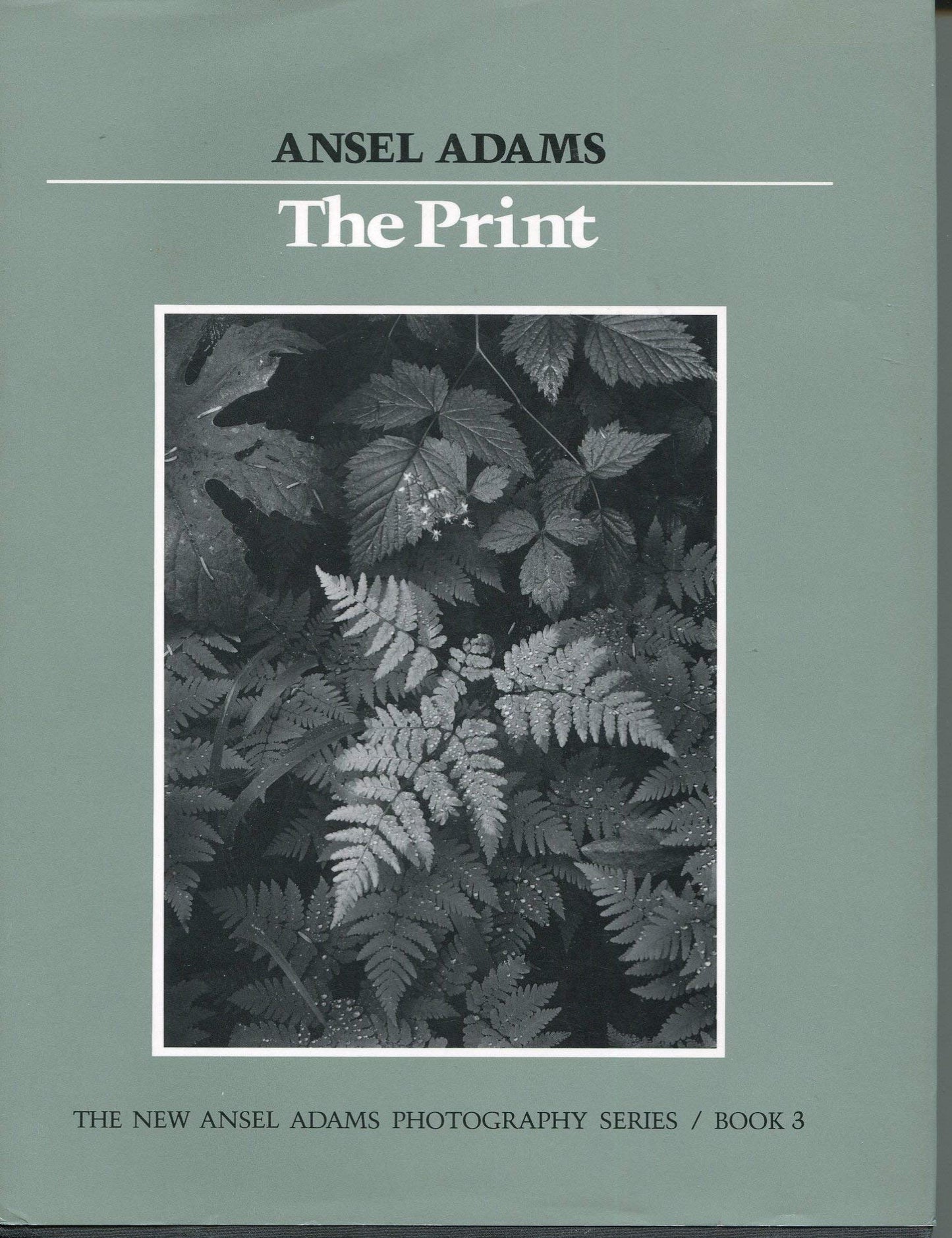 The Print (New Ansel Adams Photography Series, Book 3) by Ad