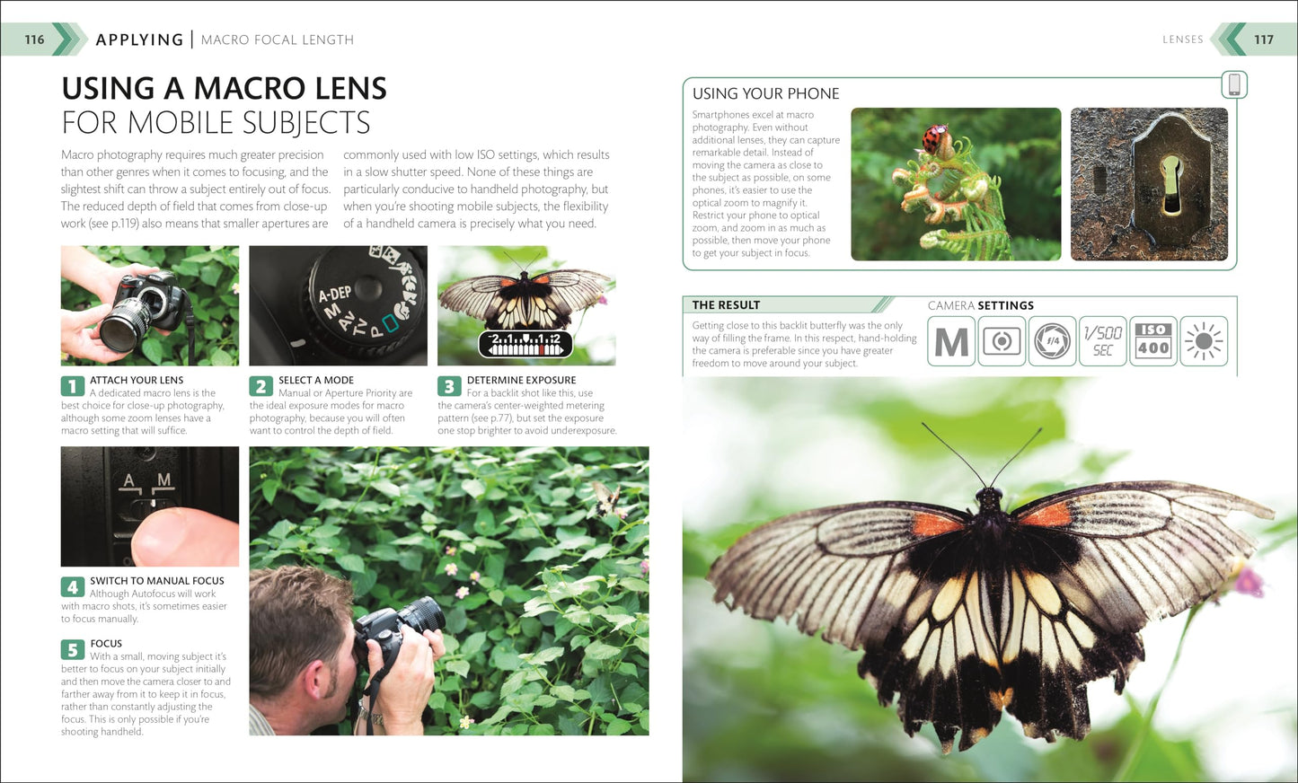 The Beginner's Photography Guide: The Ultimate Step-by-Step