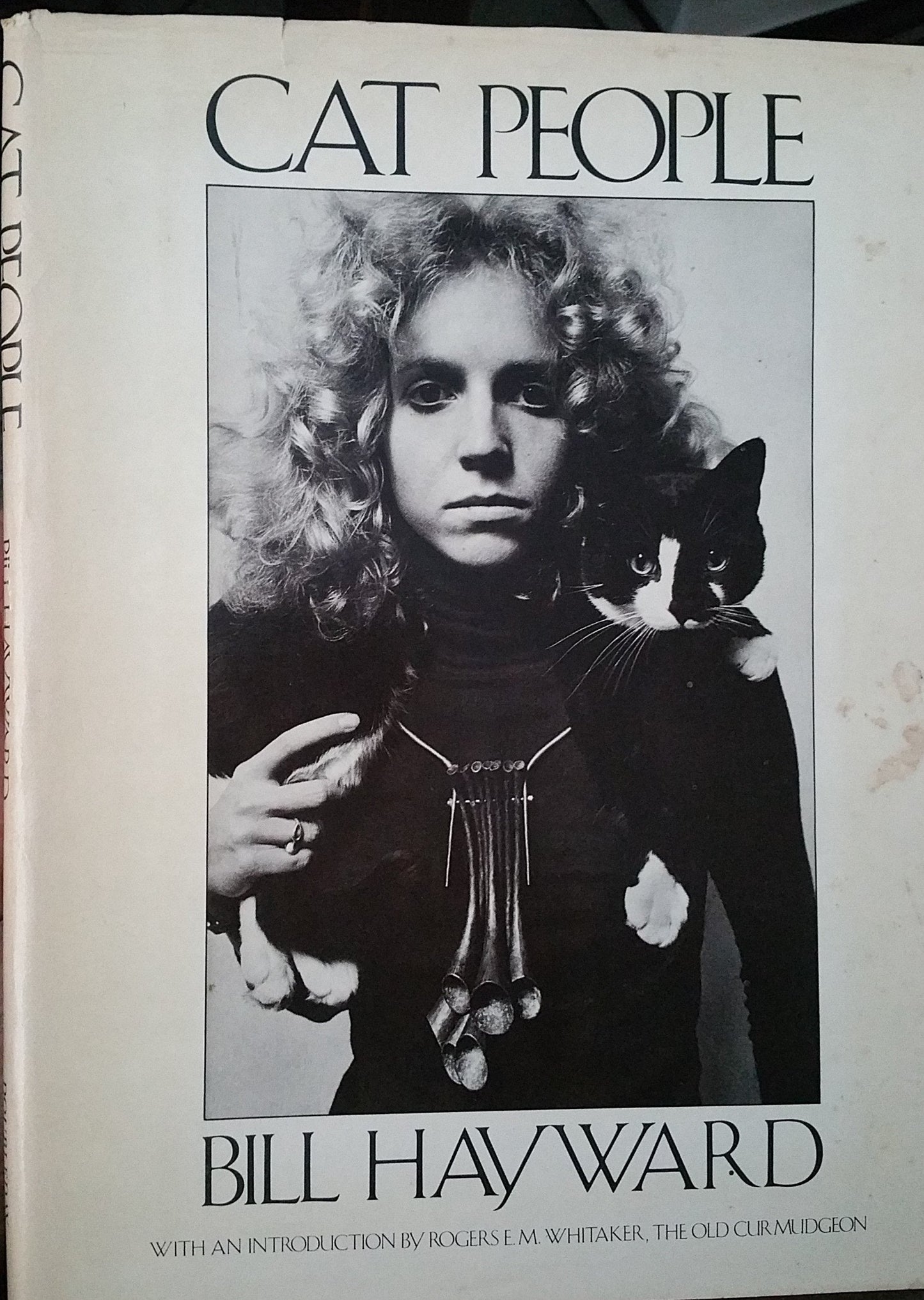 Cat people (A Dolphin book) by Hayward, Bill