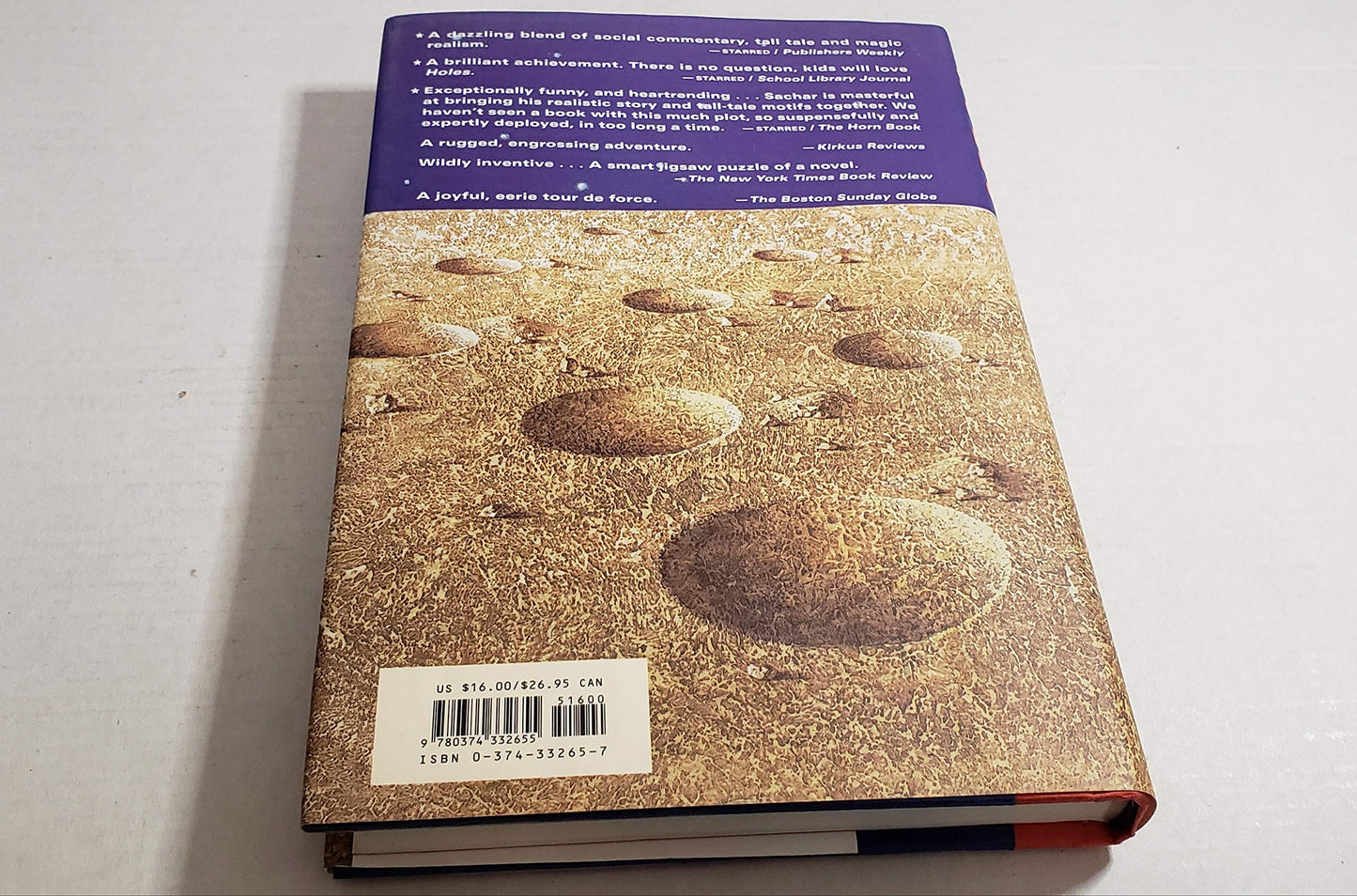Holes (Newberry Medal Book) by Louis Sachar
