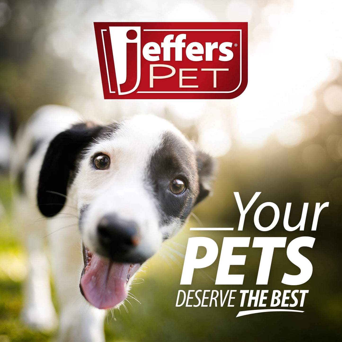 Jeffers Pet Sensitive Skin Unscented, Dye-Free, Fragrance-Free & Detergent-Free Pet Shampoo