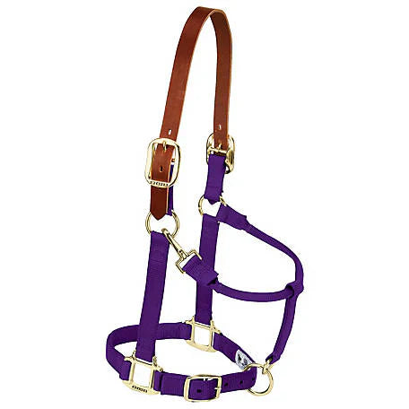 Weaver Nylon Breakaway Halter - Purple