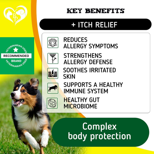 Dog Anti Itch Allergy Relief Chews Dry Itchy Skin Hot Spot Treatment with Probiotic Omega 3 Oil Immune Supplement Seasonal Allergies Medicine for Dogs Puppy 140 Bites