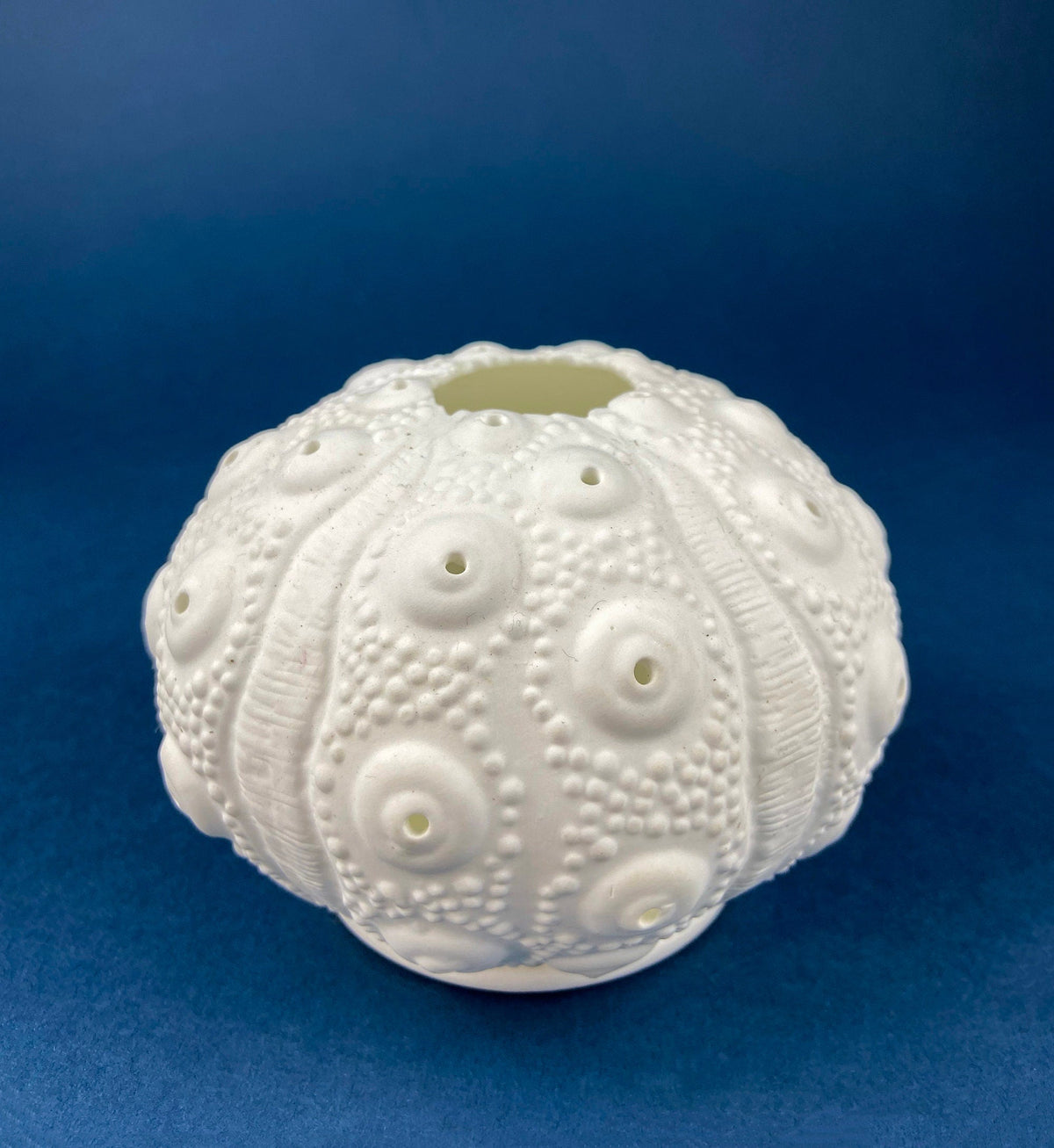 Antique Belleek Cup and Saucer, Sea Shell Pattern Porcelain Tea Set