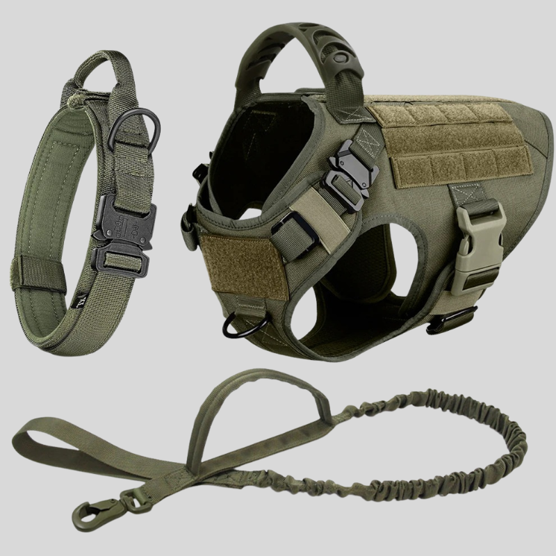 Large Dog Harness & Leash Set – Training Vest for Big Breeds