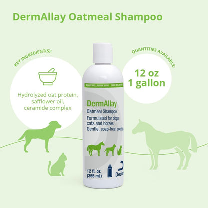 Dechra DermAllay Oatmeal Shampoo 12oz. Dogs Cats Horses Soothes Itchy Dry Skin