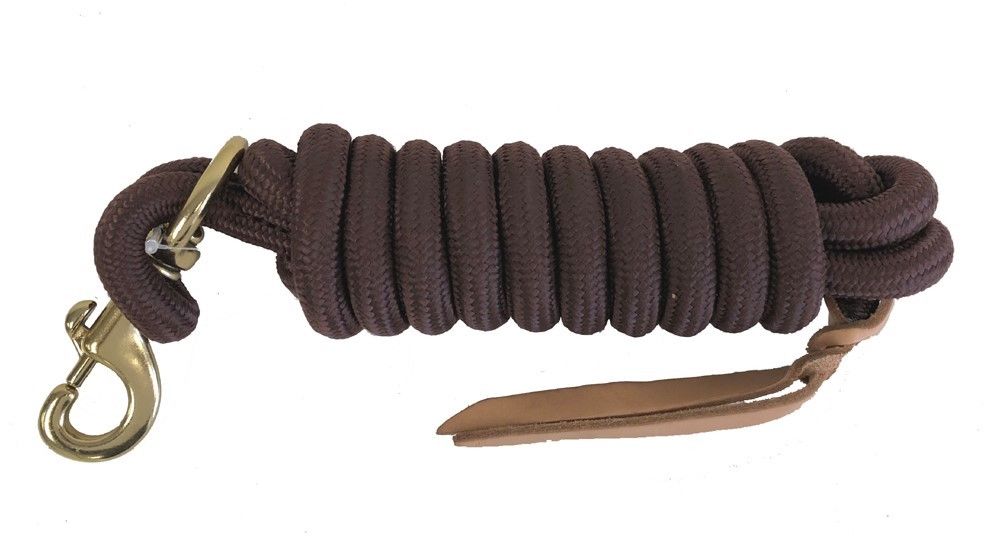 AJ Tack 9 Foot Nylon Lead Rope with Leather Popper