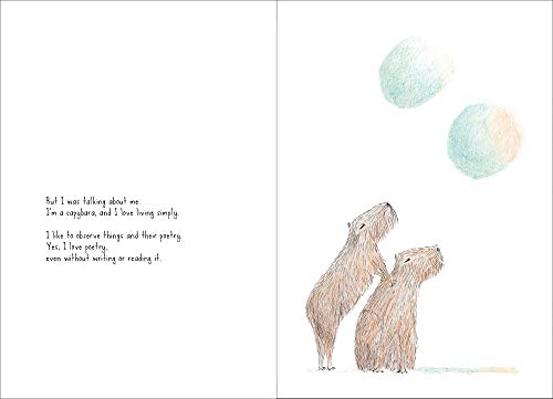 I am a Capybara by Fabbri, Michela