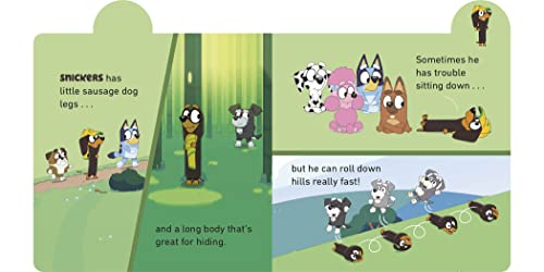Meet Bluey's Friends: A Tabbed Board Book by Rusu, Meredith