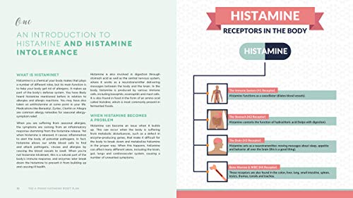 The 4-Phase Histamine Reset Plan: Getting to the Root of Mig