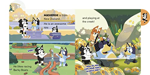 Meet Bluey's Friends: A Tabbed Board Book by Rusu, Meredith