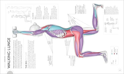 Science of Running: Analyze your Technique, Prevent Injury,