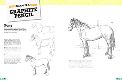 Art Studio: Horses & Ponies: More than 50 projects and techn