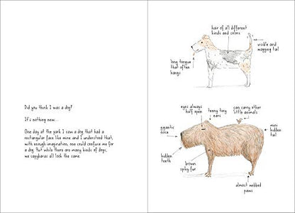 I am a Capybara by Fabbri, Michela