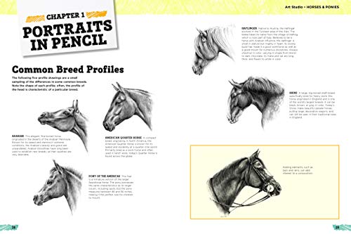 Art Studio: Horses & Ponies: More than 50 projects and techn