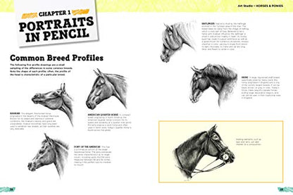 Art Studio: Horses & Ponies: More than 50 projects and techn