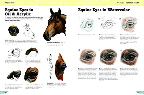 Art Studio: Horses & Ponies: More than 50 projects and techn