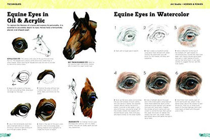 Art Studio: Horses & Ponies: More than 50 projects and techn