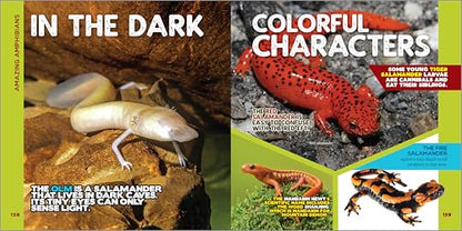 The Fascinating Animal Book for Kids: 500 Wild Facts! (Fasci