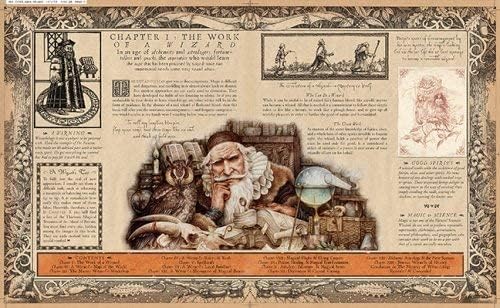 Wizardology: The Book of the Secrets of Merlin (Ologies) by