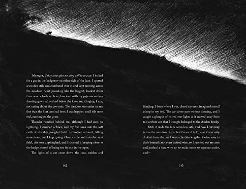 The Ocean at the End of the Lane (Illustrated Edition) by Ga