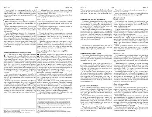 Semeur, NIV, French/English Bilingual Bible, Paperback (Fren
