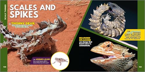 The Fascinating Animal Book for Kids: 500 Wild Facts! (Fasci
