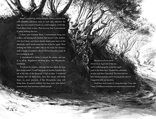 The Ocean at the End of the Lane (Illustrated Edition) by Ga