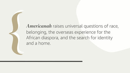 Americanah: A novel by Adichie, Chimamanda Ngozi