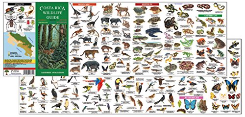 Costa Rica Wildlife Guide (Laminated Foldout Pocket Field Gu