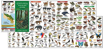 Costa Rica Wildlife Guide (Laminated Foldout Pocket Field Gu