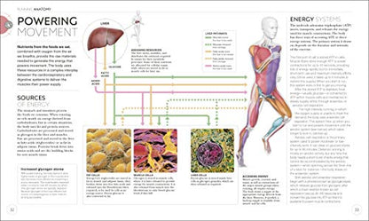 Science of Running: Analyze your Technique, Prevent Injury,