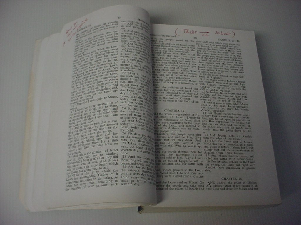 Holy Bible: From the Ancient Eastern Text: George M. Lamsa's