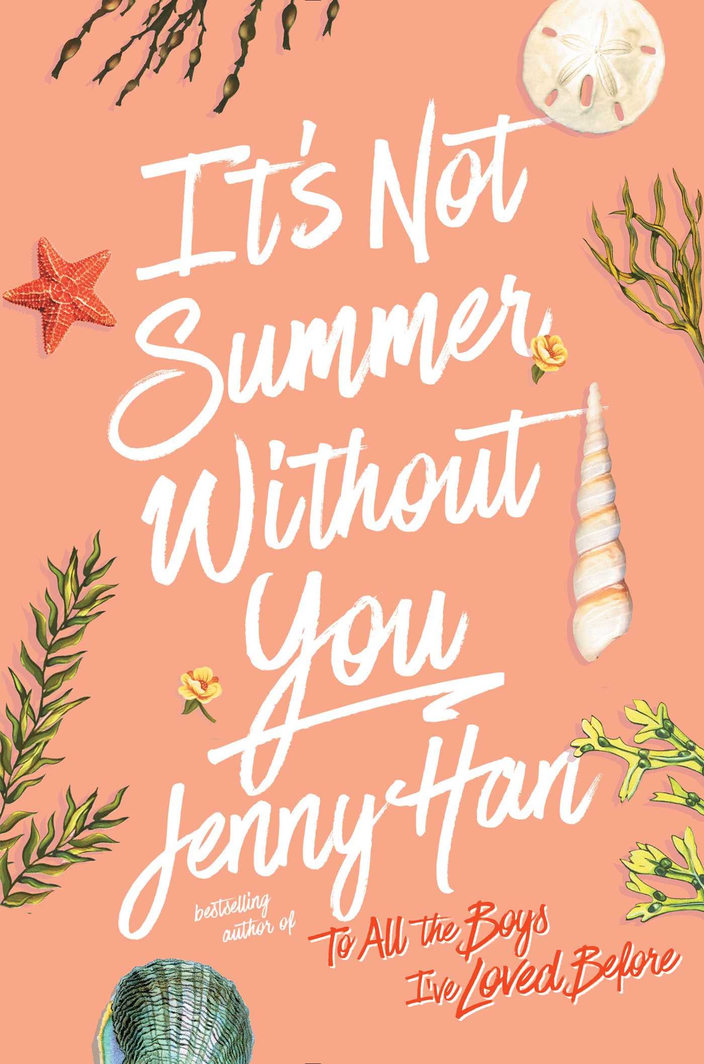 It's Not Summer Without You (The Summer I Turned Pretty) by