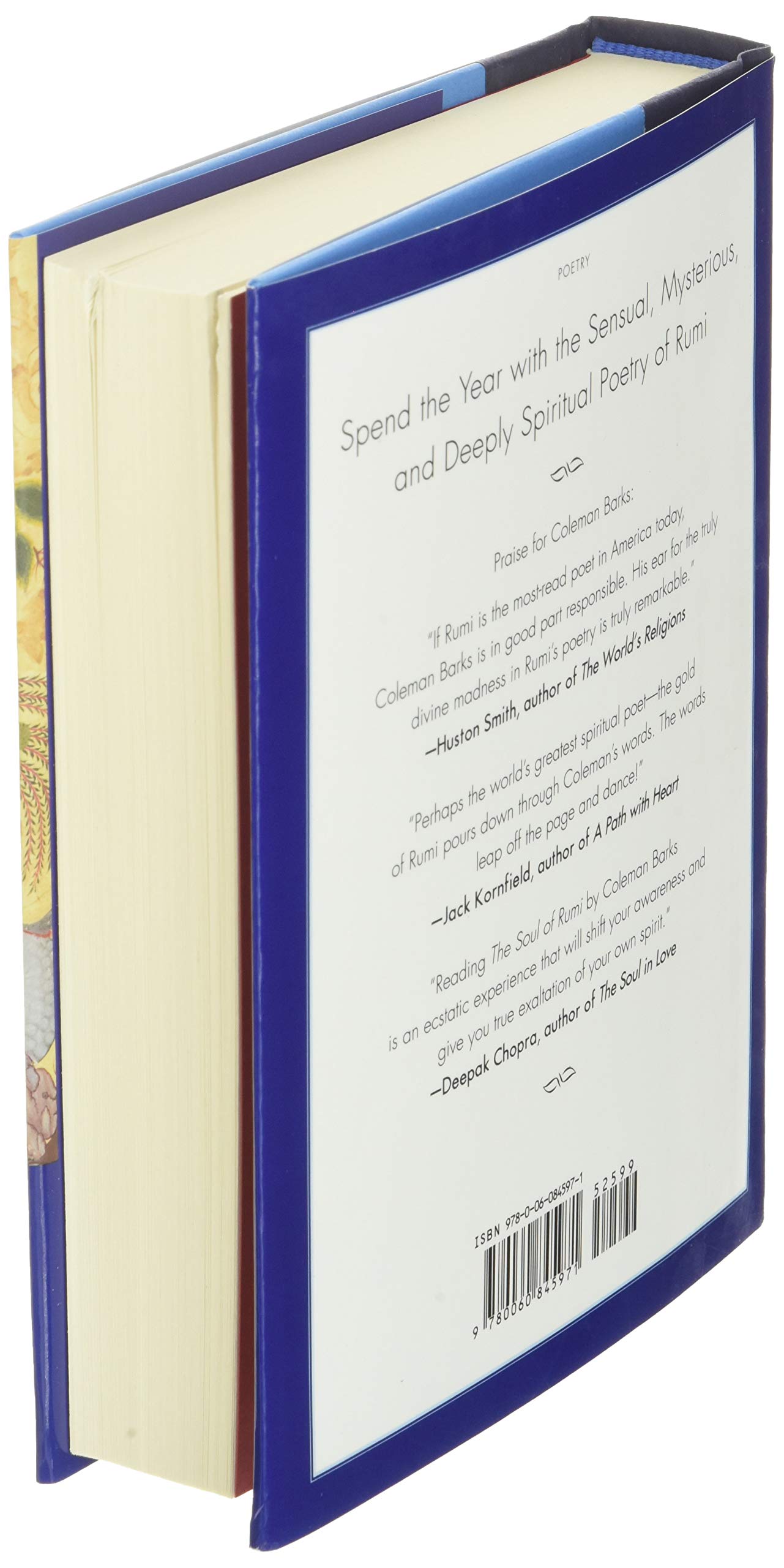 A Year with Rumi: Daily Reflections with the Timeless Poetry
