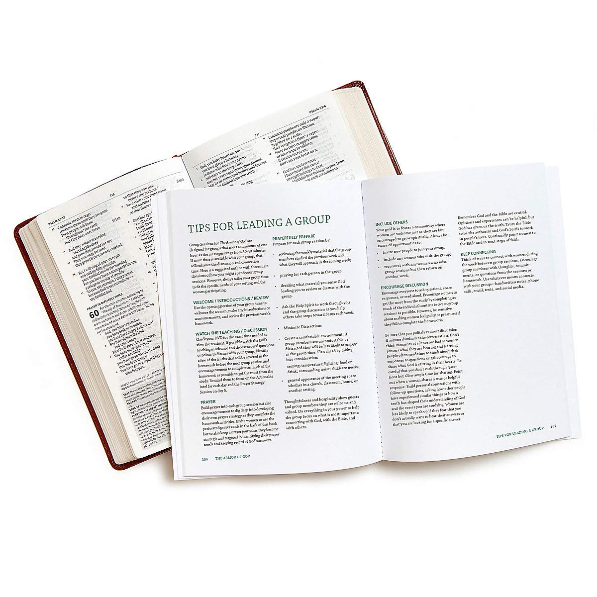 The Armor of God - Bible Study Book by Shirer, Priscilla
