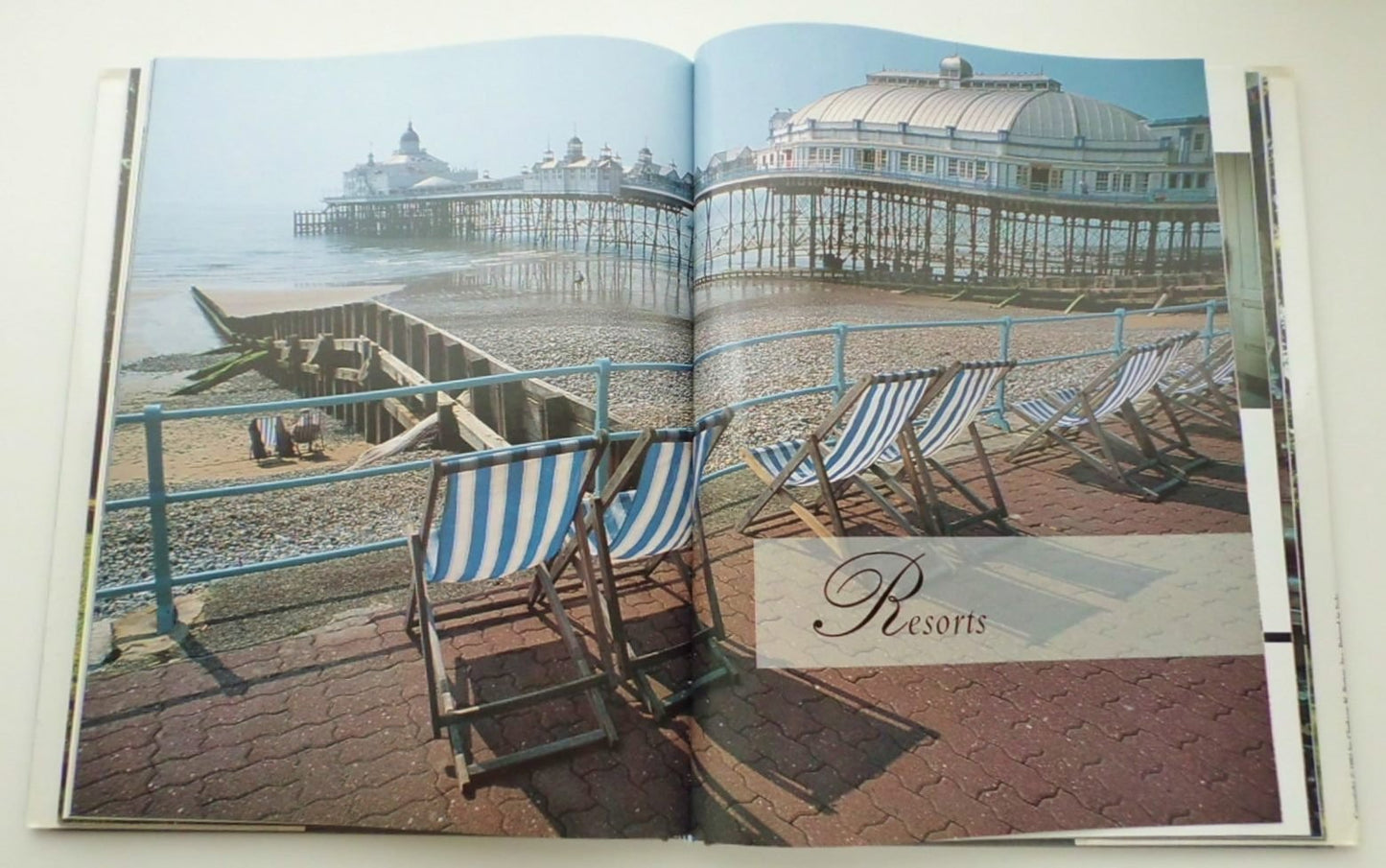 Family Houses by the Sea by D'Arnoux, Alexandra