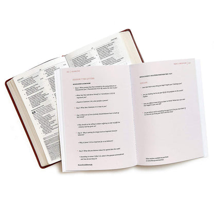 Seamless: Understanding the Bible as One Complete Story (Mem