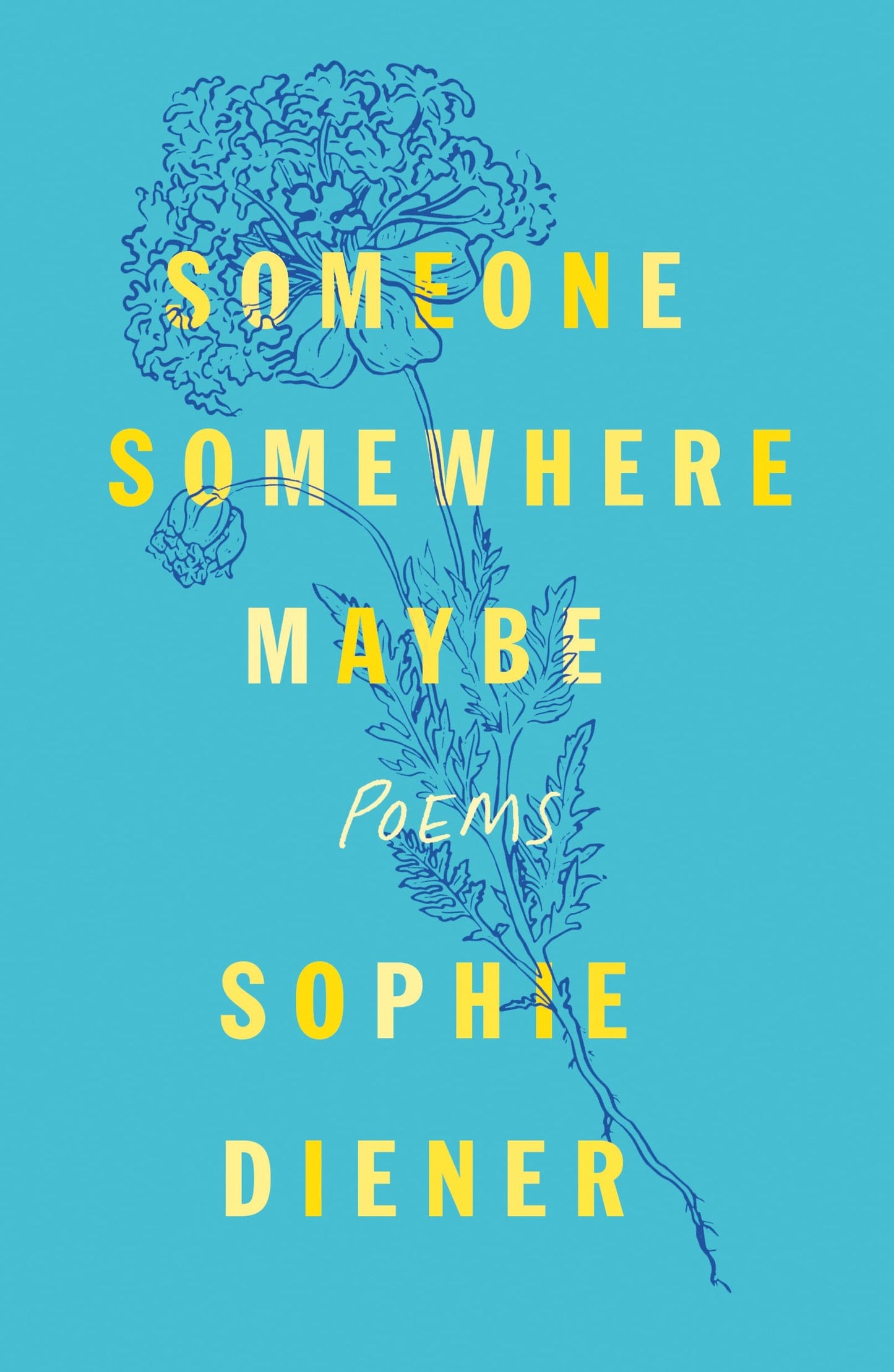 Someone Somewhere Maybe by Diener, Sophie